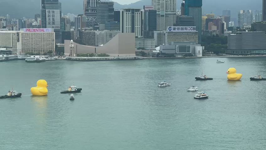 加载视频：